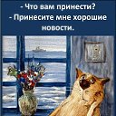 ���� ���������, ����, 35 ��� - ��������� 13 ������ 2022 � ������ ������ ��������