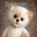 ���� ����, �����������, 47 ��� - ��������� 18 ���� 2021 � ������ ���� ����������