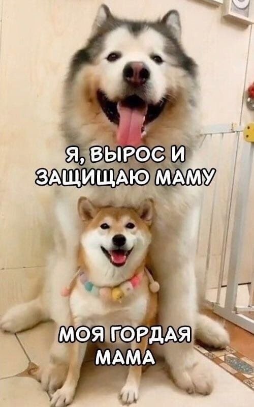   - 2