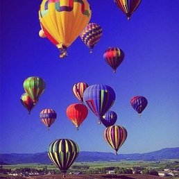 �����, ��������, 42 ����