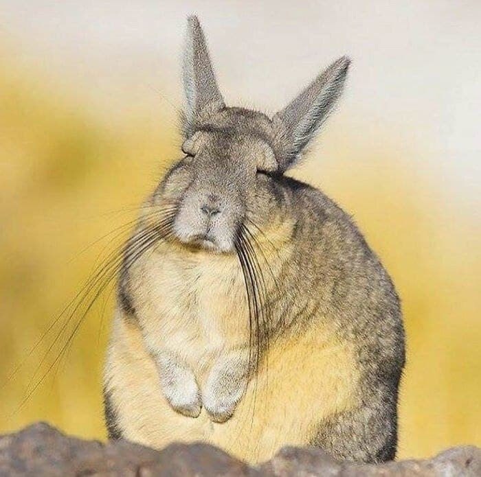   -       .    ,   ,  ...