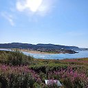 ���� ����, ��������, 56 ��� - ��������� 21 �������� 2021 � ������ ���� ����������