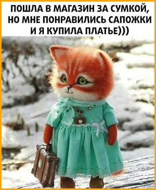   ! - 9  2021  11:55
