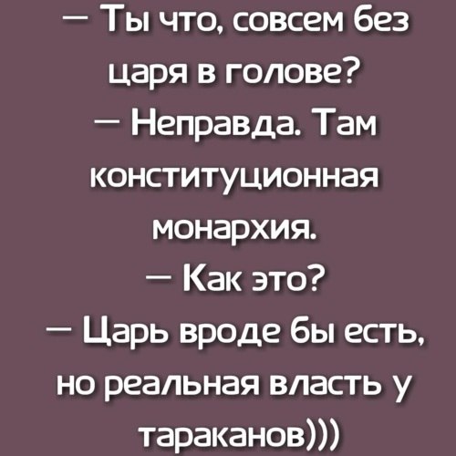   ! - 2  2021  12:16