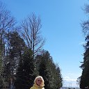 ���� ���� �����, �������� - ��������� 7 ��� 2021 � ������ ���� ����������