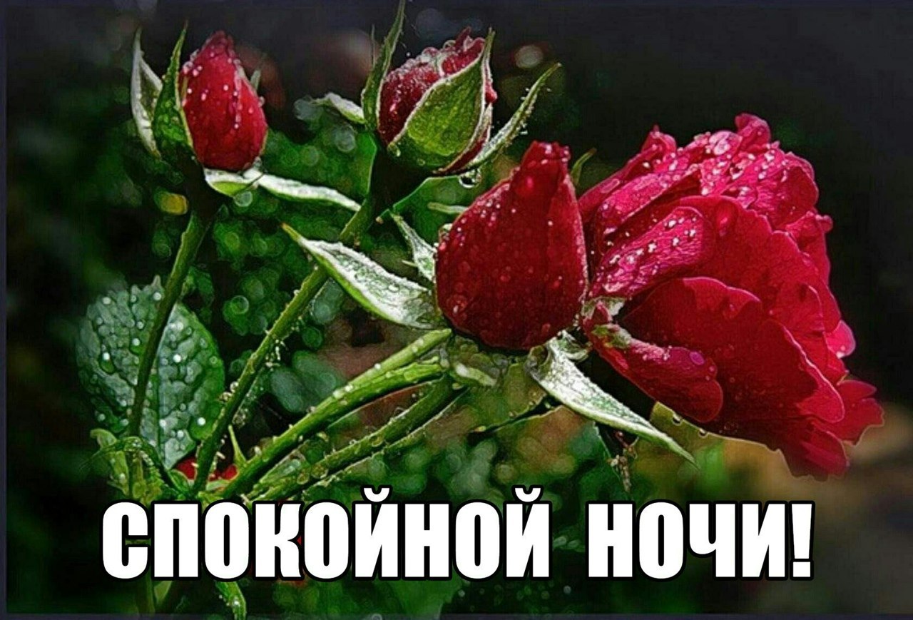   ,    . - 2  2021  14:22 - 8