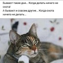 ���� ����� ��������))), ������������� - ��������� 26 ������ 2022 � ������ ������ ��������