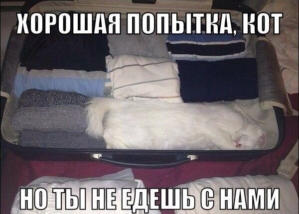    - 10  2021  01:20