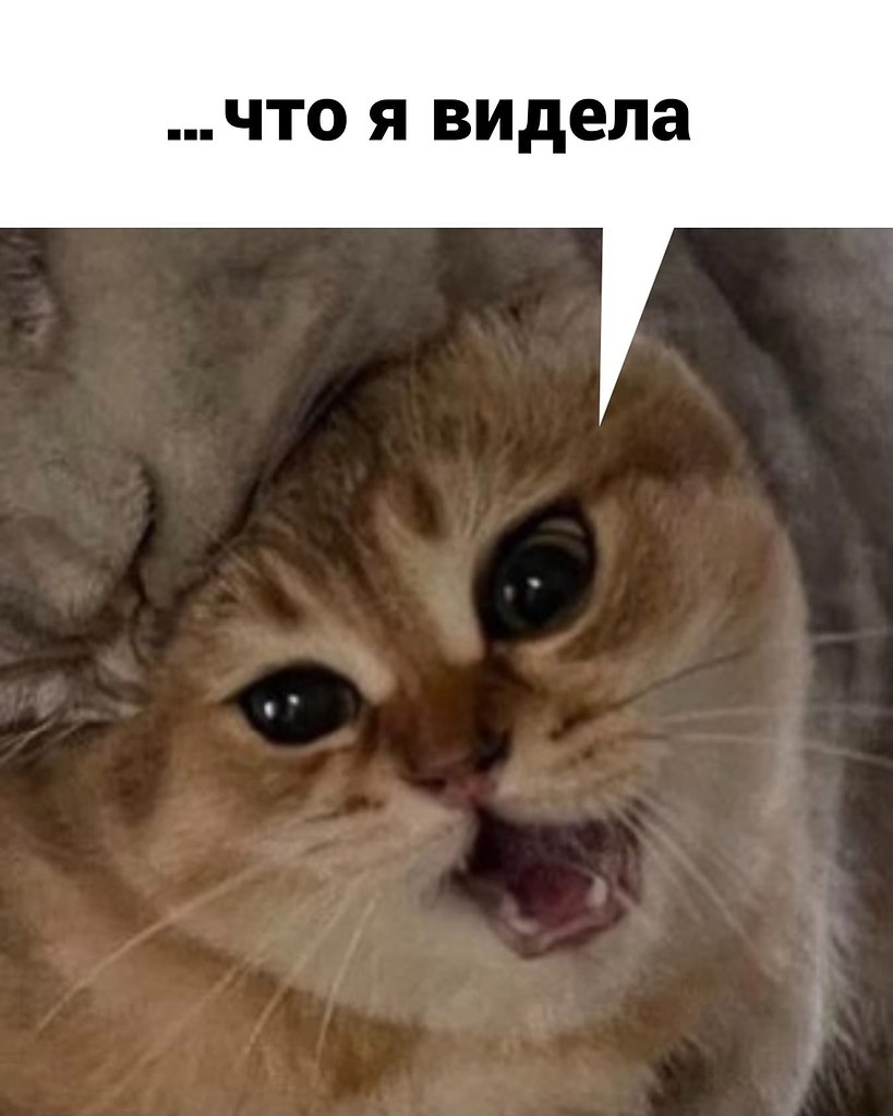   .  - 4