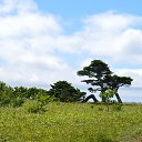  , , 69  -  3  2021    .  .