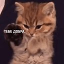 ���� ���������, �����, 55 ��� - ��������� 25 ������� 2021 � ������ ���� ����������