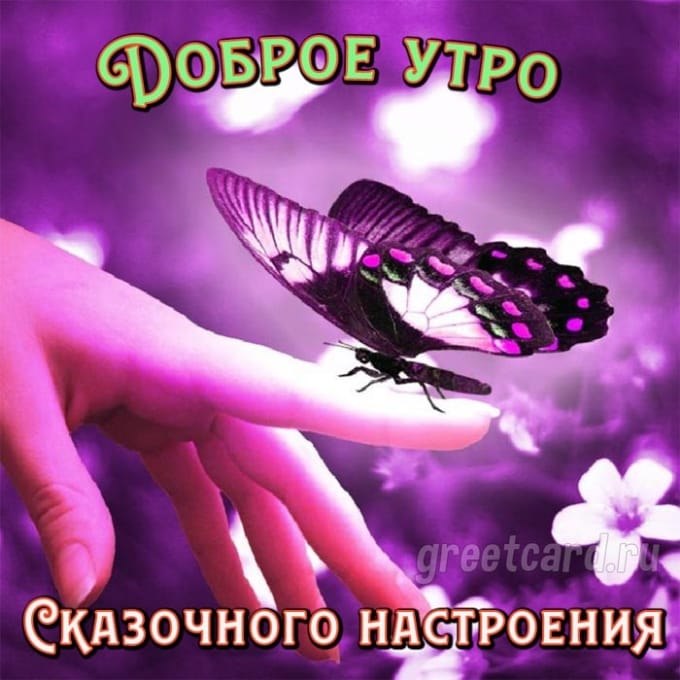 ***Victoria Viktorovna*** - 9  2021  03:46