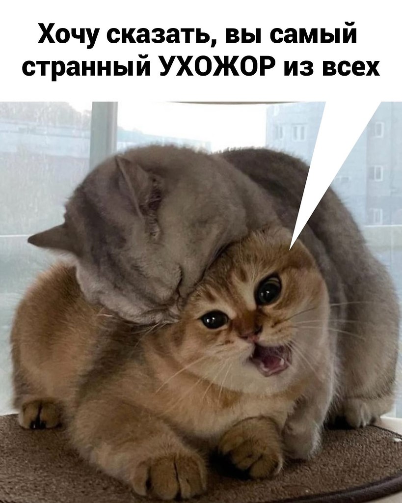   .  - 3