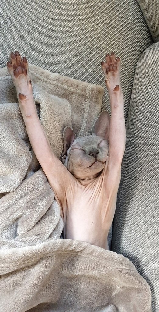 -   :) - 2