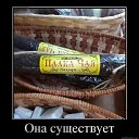 ���� �������, �������, 51 ��� - ��������� 30 �������� 2021 � ������ ���� ����������