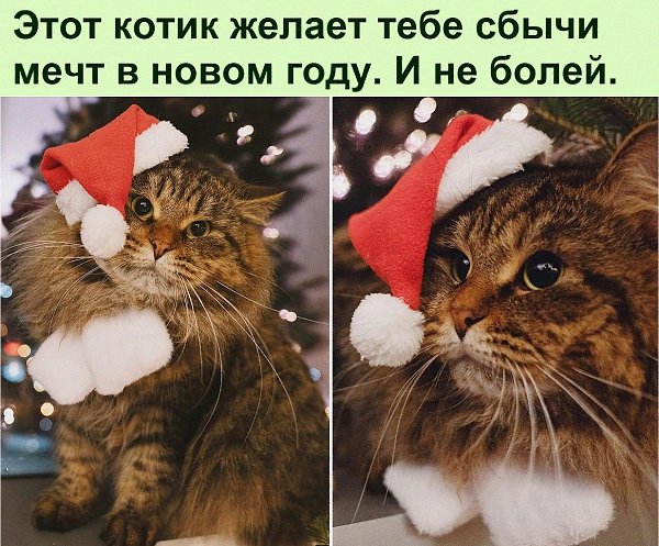   :D - 31  2021  14:37