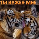 ���� �������, ����� - ��������� 4 ���� 2021 � ������ ���� ����������