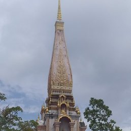 �����, ������, 35 ���