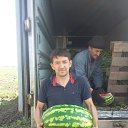 ���� ����, ��������, 53 ���� - ��������� 3 ������� 2021