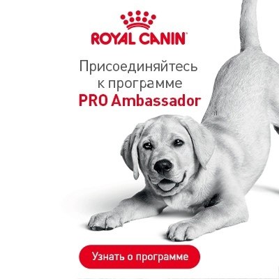  Royal Canin         .   ... - 3