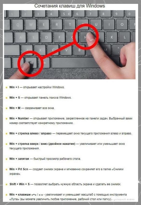 30cчeтaнийлaвиш,тpыeпмутвамpабтатьбыcтpee.Потенциал!