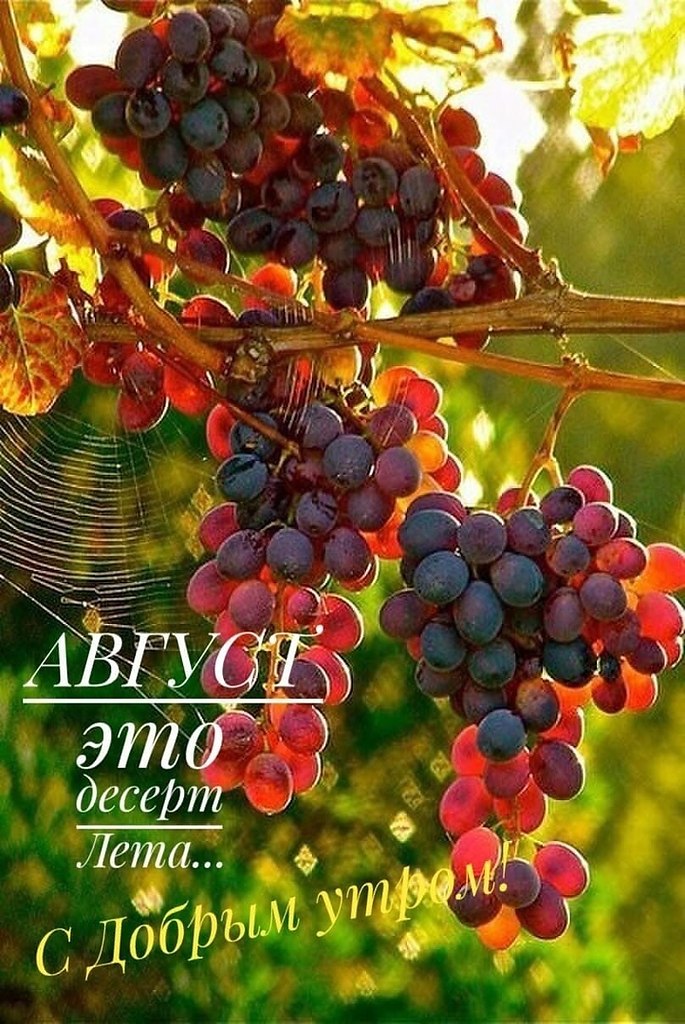   ,    . - 3  2021  18:44 - 7