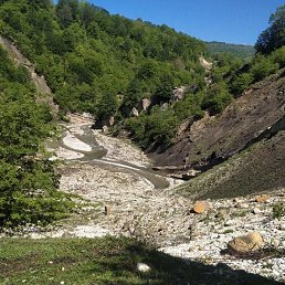 Kocym, ��������, 37 ���