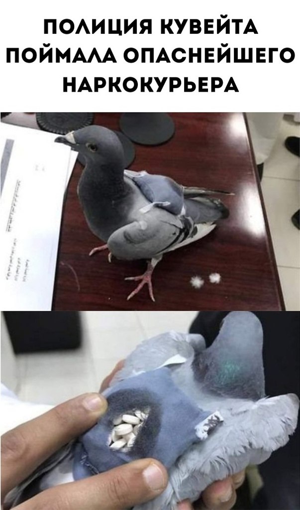    ,    -    . ,   ...