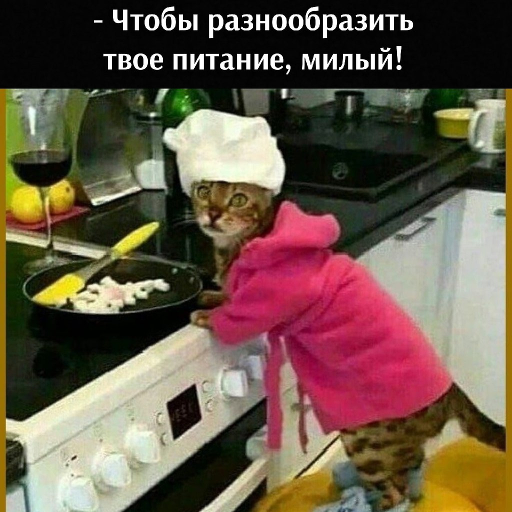       - 13  2021  13:18 - 2