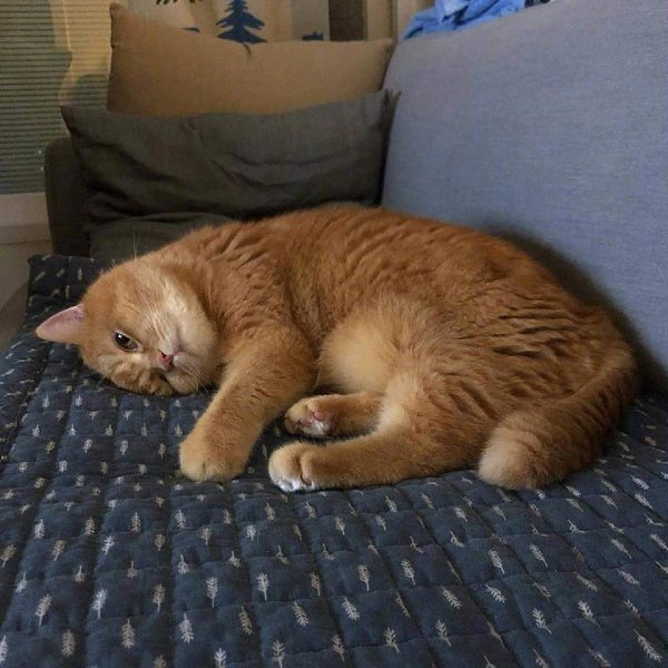       - 3  2021  12:28 - 4