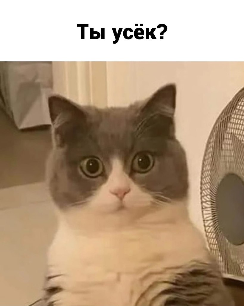      4 ...  - 4