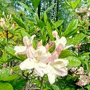 ���� ����, �����-���������, 68 ��� - ��������� 9 ���� 2021 � ������ ����� 2021�