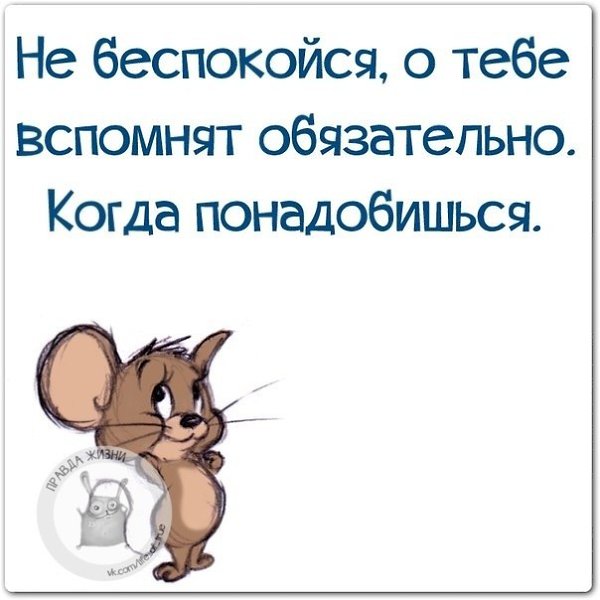 ������ ����� - 28 ����� 2021 � 20:42