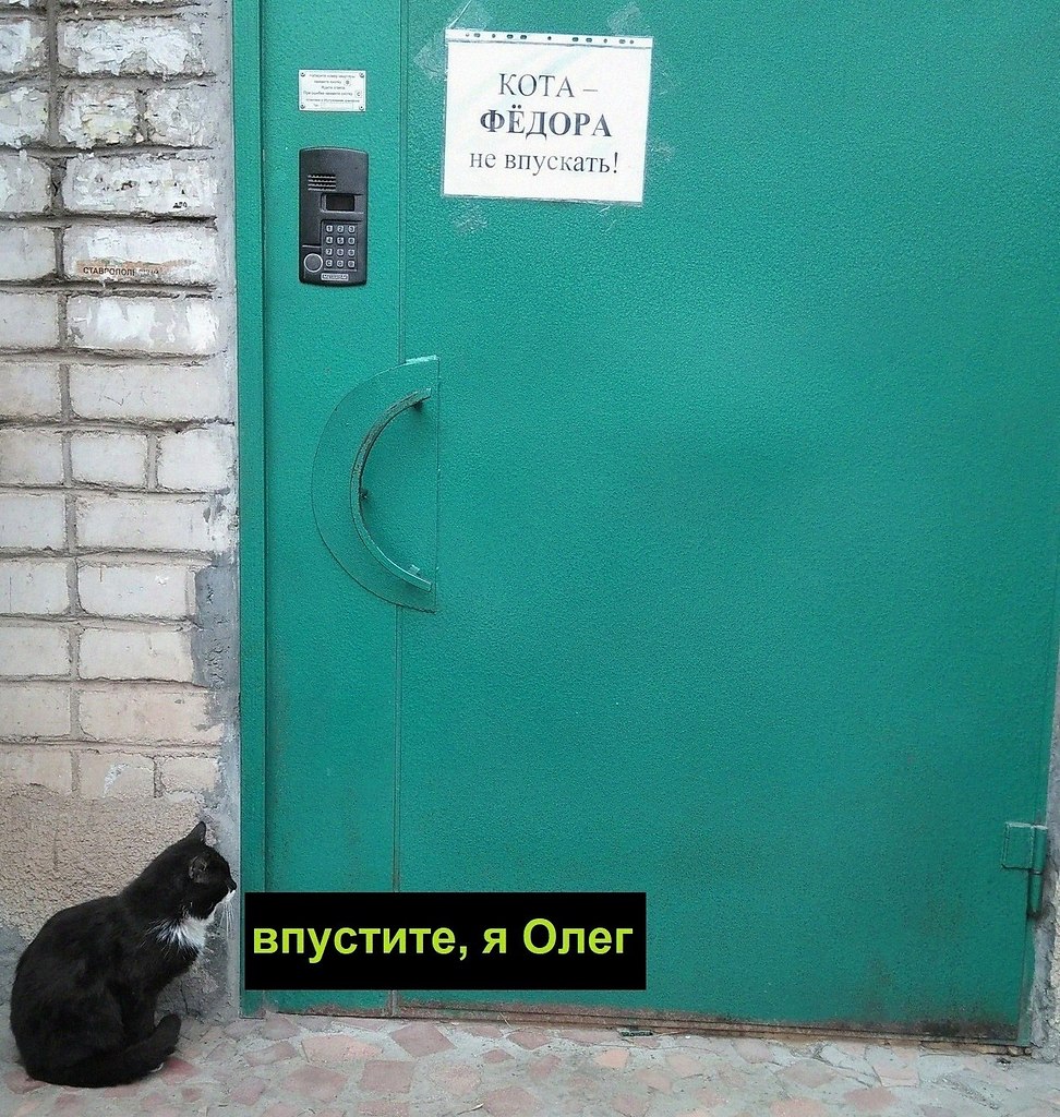   :D - 26  2022  18:29
