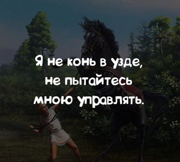 ***Victoria Viktorovna*** - 8  2021  08:52