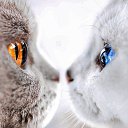 ���� �����, ������ - ��������� 14 ���� 2021 � ������ ���� ����������