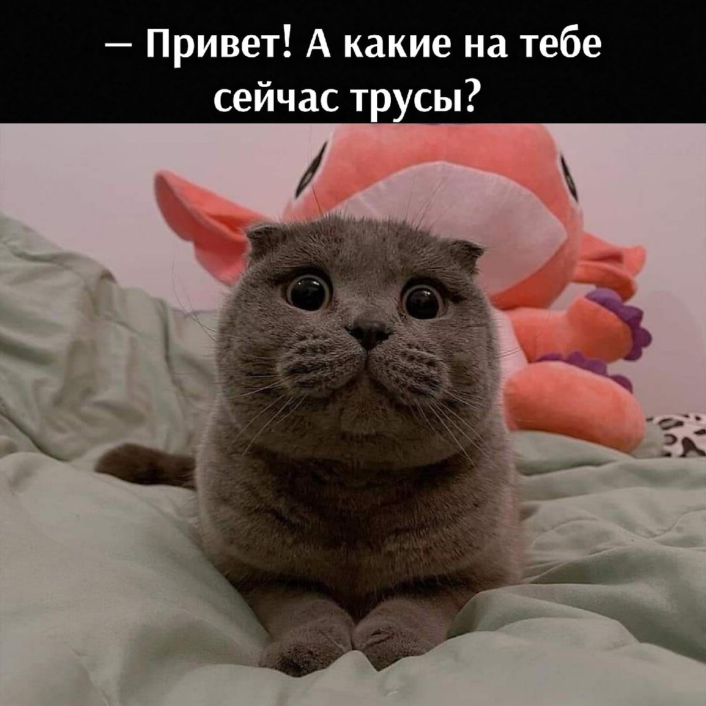       - 16  2021  09:34 - 2