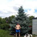 ���� ����, ������, 49 ��� - ��������� 16 ���� 2021