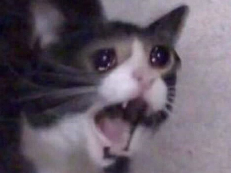    - 4