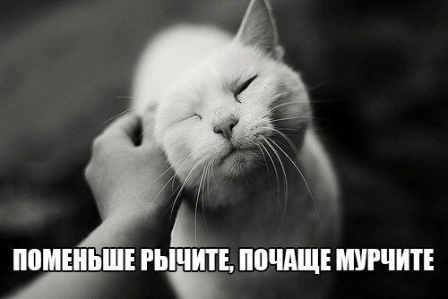    - 29  2021  07:31