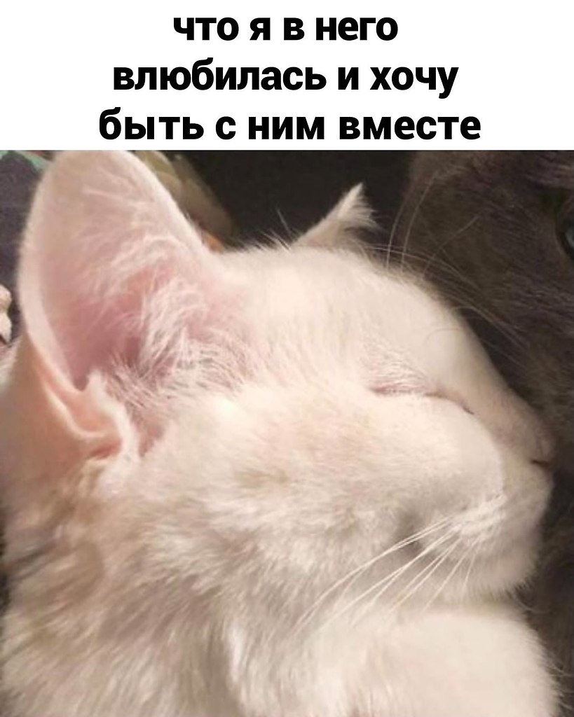      . - 2