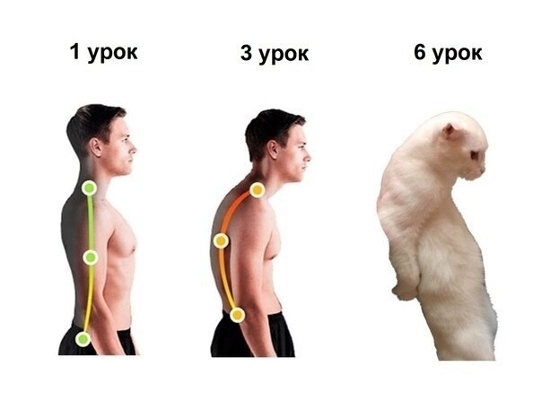 ☆   ☆ - 19  2021  09:08