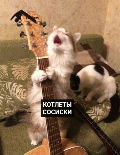   - - 7