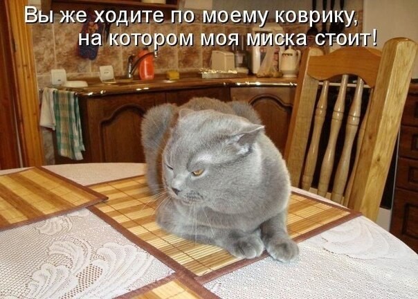    - 6  2021  13:41