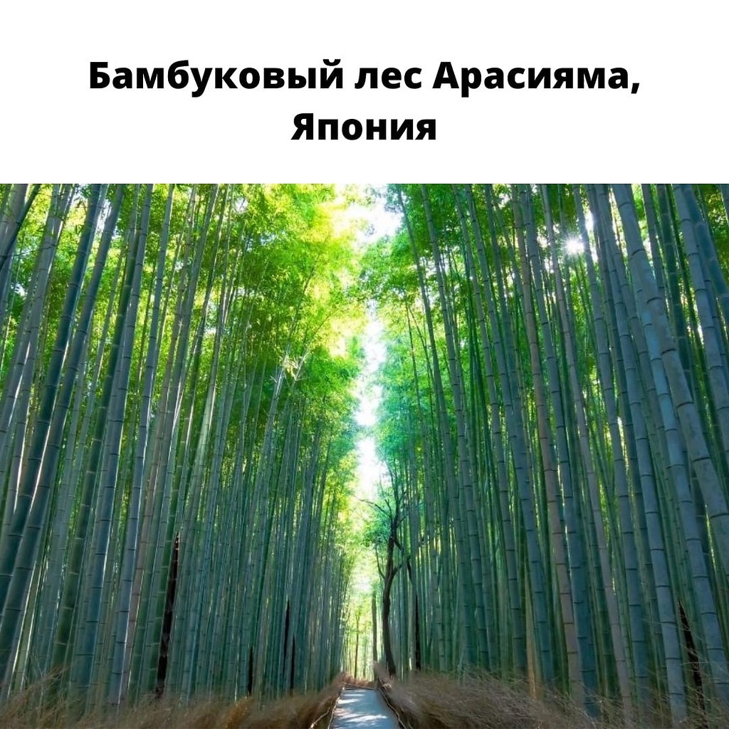   , .        ...