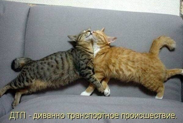    - 7  2021  08:35