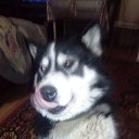 ���� ������, ������� ��������, 57 ��� - ��������� 14 ������ 2021 � ������ ���� ����������