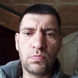 ������, ������, 43 ����