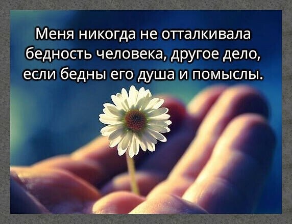 ☆ ☆ - 8  2021  08:32
