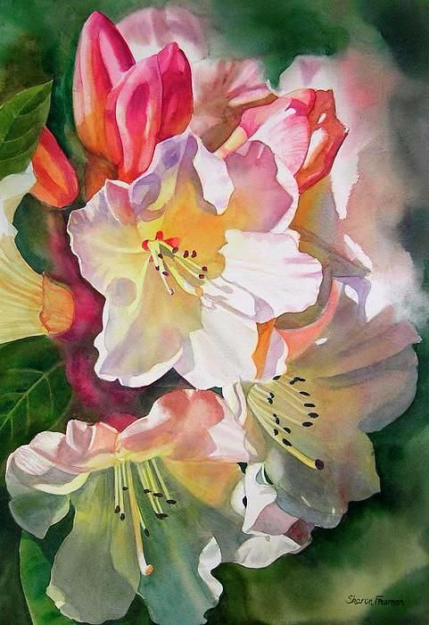   Sharon Freeman - 2